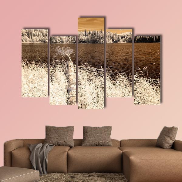 Forest Lake In Summer Day Canvas Wall Art-5 Pop-Gallery Wrap-47" x 32"-Tiaracle