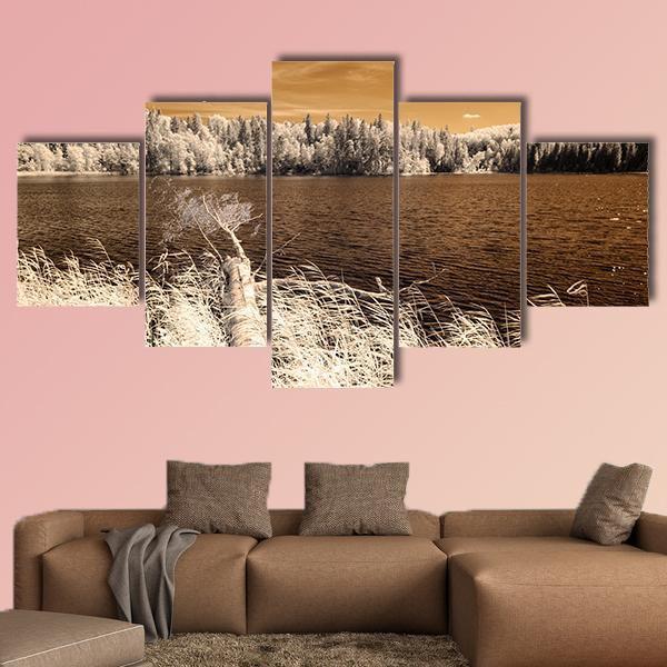 Forest Lake In Summer Day Canvas Wall Art-5 Star-Gallery Wrap-62" x 32"-Tiaracle