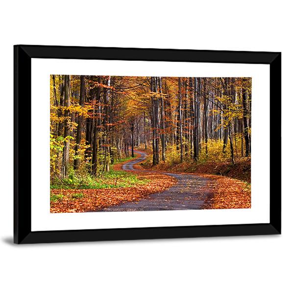 Forest In Autumn Canvas Wall Art-3 Horizontal-Gallery Wrap-25" x 16"-Tiaracle