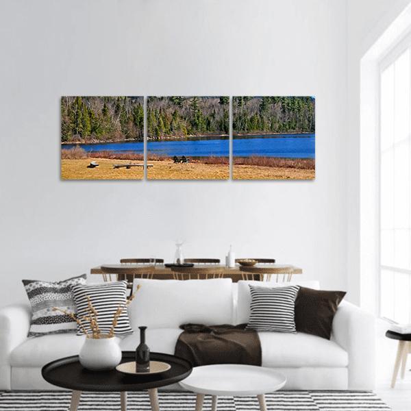 Forest Lake in New York Panoramic Canvas Wall Art in brown, green and blue, hung on a wall