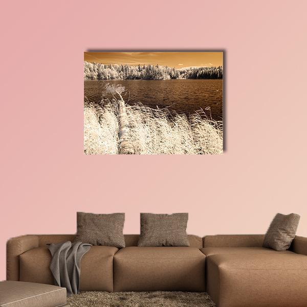 Forest Lake in Summer Canvas Wall Art in beige and brown, single panel hung on a wall
