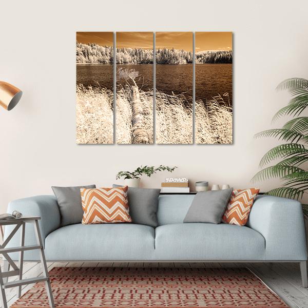 Forest Lake In Summer Day Canvas Wall Art-4 Horizontal-Gallery Wrap-34" x 24"-Tiaracle