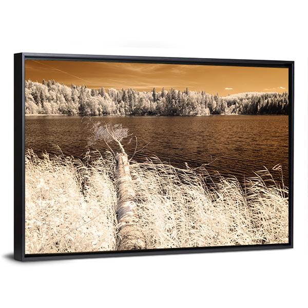 Forest Lake In Summer Day Canvas Wall Art-3 Horizontal-Gallery Wrap-25" x 16"-Tiaracle