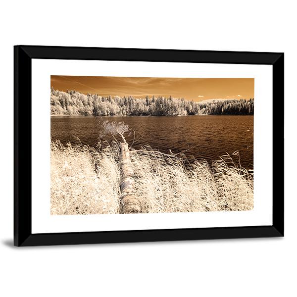 Forest Lake In Summer Day Canvas Wall Art-3 Horizontal-Gallery Wrap-25" x 16"-Tiaracle