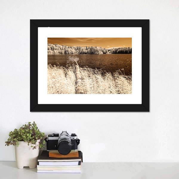 Forest Lake In Summer Day Canvas Wall Art-1 Piece-Framed Print-20" x 16"-Tiaracle