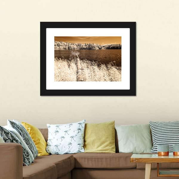 Forest Lake In Summer Day Canvas Wall Art-3 Horizontal-Gallery Wrap-25" x 16"-Tiaracle