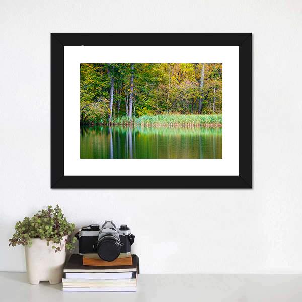 Forest Lake Kozjak Canvas Wall Art-1 Piece-Framed Print-20" x 16"-Tiaracle