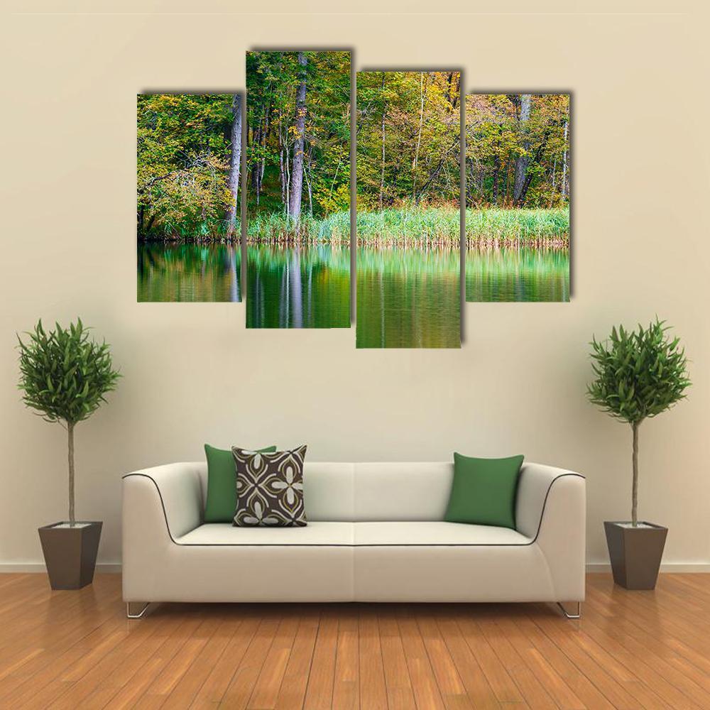 Forest Lake Kozjak Canvas Wall Art-4 Pop-Gallery Wrap-50" x 32"-Tiaracle