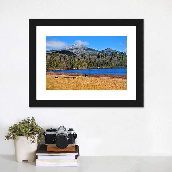 Forest Lake New York Canvas Wall Art-1 Piece-Framed Print-20" x 16"-Tiaracle