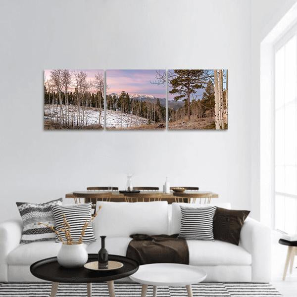 Forest In Winter Panoramic Canvas Wall Art-3 Piece-25" x 08"-Tiaracle