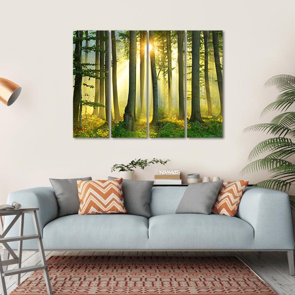 Forest Morning Canvas Wall Art-4 Horizontal-Gallery Wrap-34" x 24"-Tiaracle