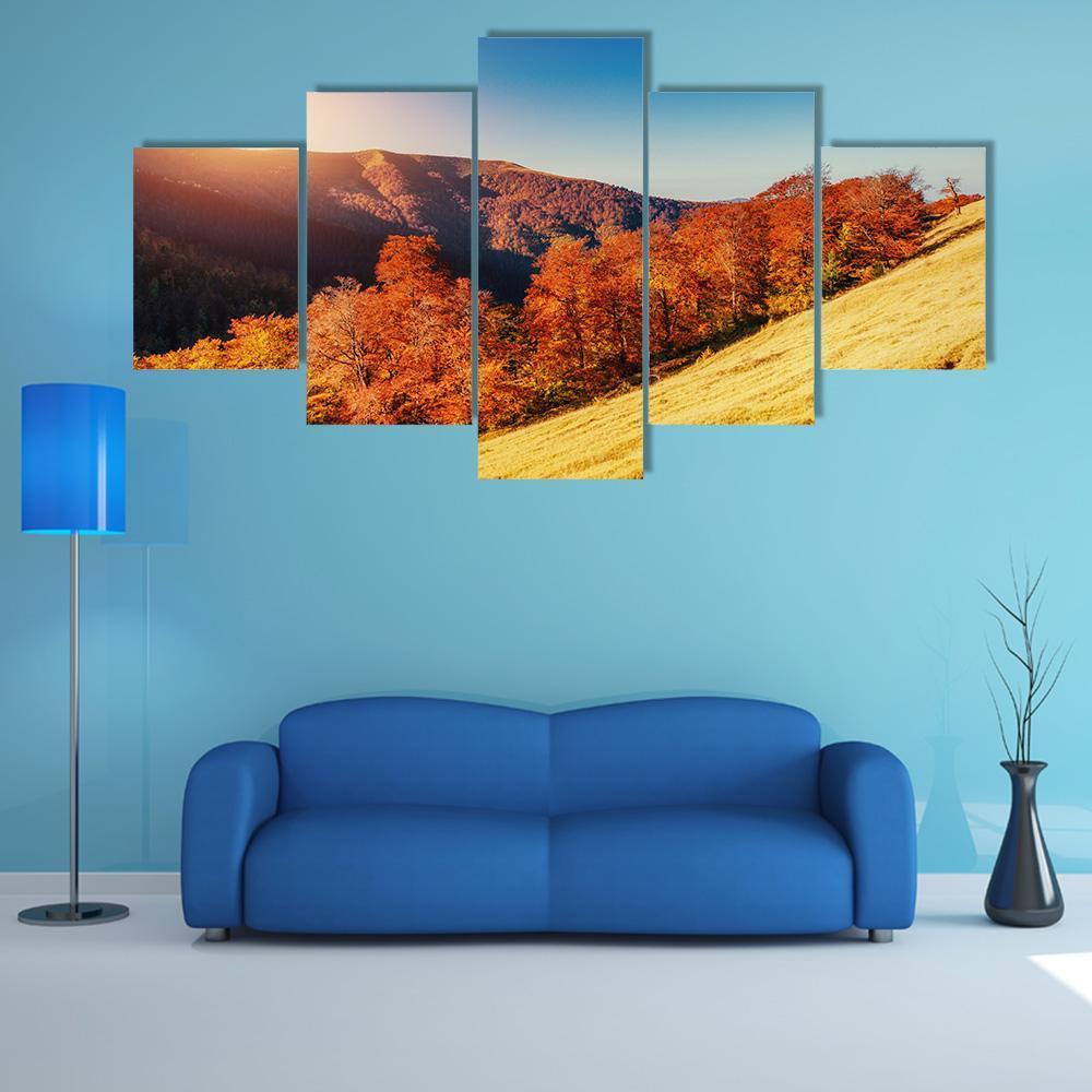 Forest Road in Autumn Canvas Wall Art in orange, yellow and blue, 5 panel Star layout hung on a wall