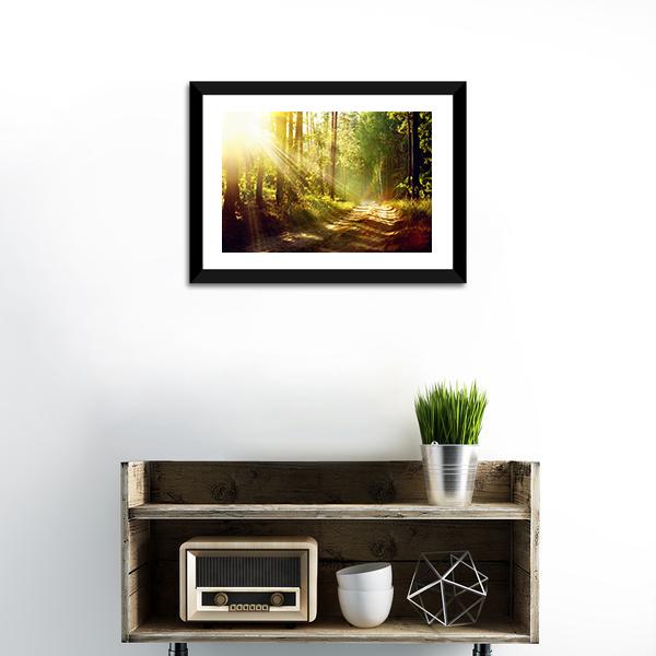 Forest With Sun Rays Canvas Wall Art-1 Piece-Framed Print-20" x 16"-Tiaracle