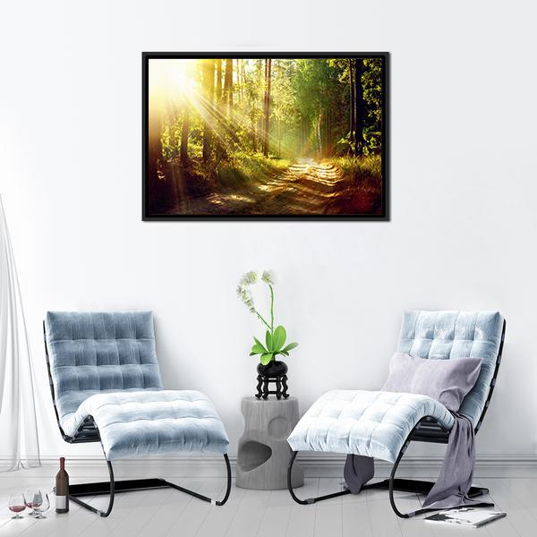 Forest With Sun Rays Canvas Wall Art-3 Horizontal-Gallery Wrap-25" x 16"-Tiaracle
