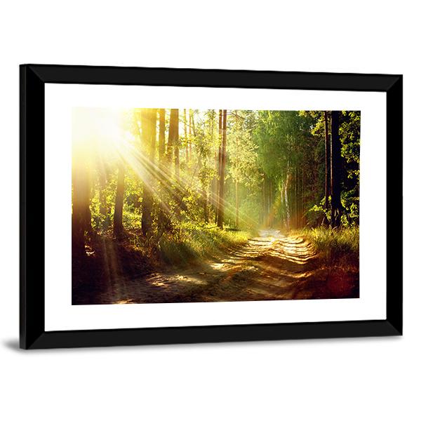 Forest With Sun Rays Canvas Wall Art-3 Horizontal-Gallery Wrap-25" x 16"-Tiaracle