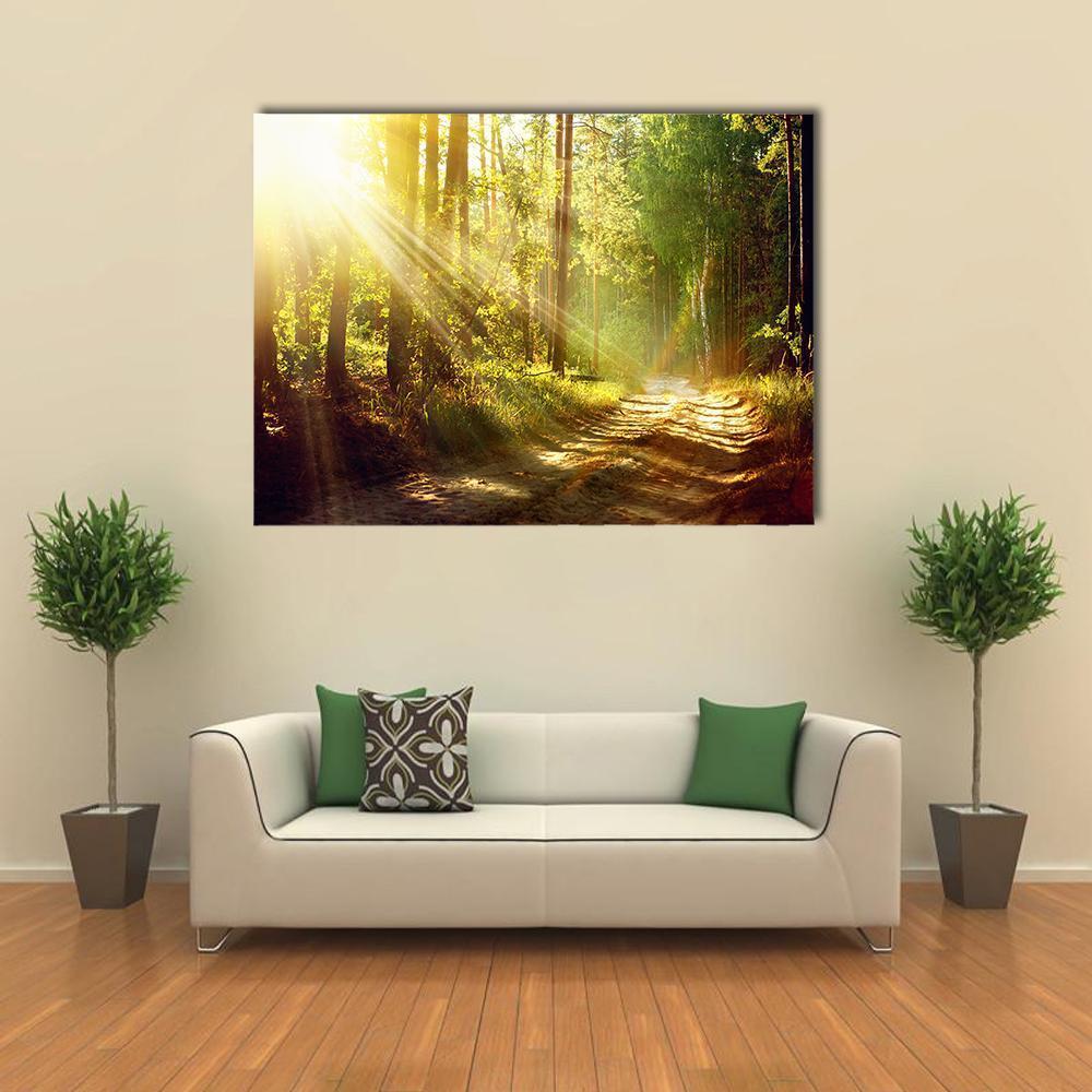 Forest With Sun Rays Canvas Wall Art-1 Piece-Gallery Wrap-48" x 32"-Tiaracle