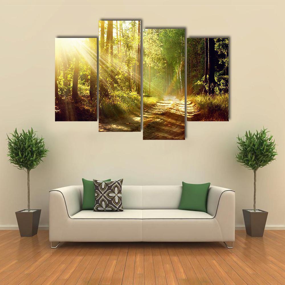 Forest With Sun Rays Canvas Wall Art-4 Pop-Gallery Wrap-50" x 32"-Tiaracle