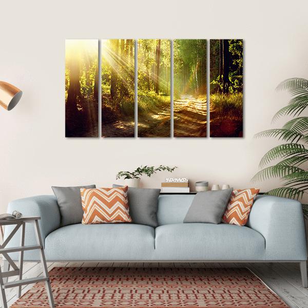Forest With Sun Rays Canvas Wall Art-5 Horizontal-Gallery Wrap-22&quot; x 12&quot;-Tiaracle