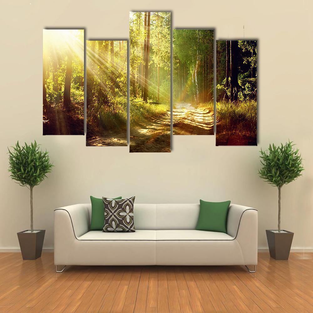 Forest With Sun Rays Canvas Wall Art-5 Pop-Gallery Wrap-47" x 32"-Tiaracle