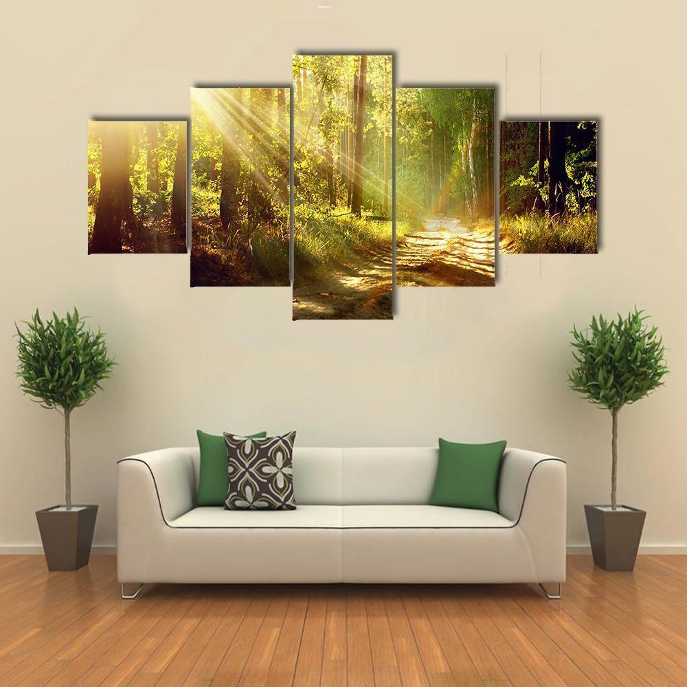 Forest With Sun Rays Canvas Wall Art-5 Star-Gallery Wrap-62" x 32"-Tiaracle