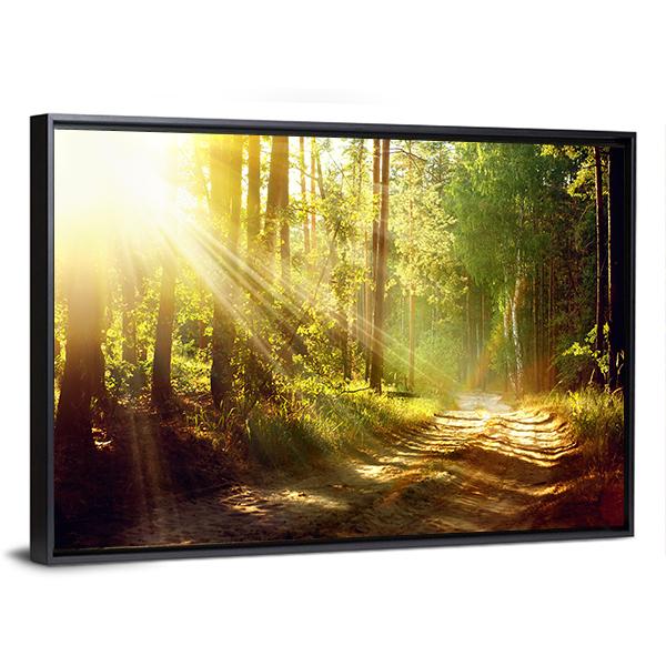 Forest With Sun Rays Panoramic Canvas Wall Art-1 Piece-36" x 12"-Tiaracle