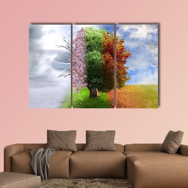Four Seasons Tree Canvas Wall Art-3 Horizontal-Gallery Wrap-25" x 16"-Tiaracle