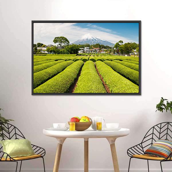 Fresh Green Tea Field in A Spring Morning Canvas Wall Art-3 Horizontal-Gallery Wrap-25" x 16"-Tiaracle