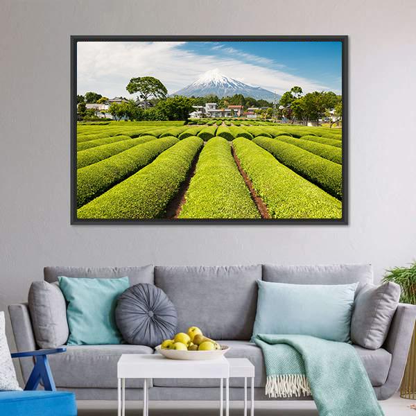 Fresh Green Tea Field in A Spring Morning Canvas Wall Art-3 Horizontal-Gallery Wrap-25" x 16"-Tiaracle