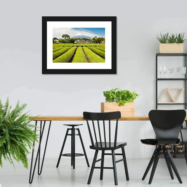 Fresh Green Tea Field in A Spring Morning Canvas Wall Art-3 Horizontal-Gallery Wrap-25" x 16"-Tiaracle