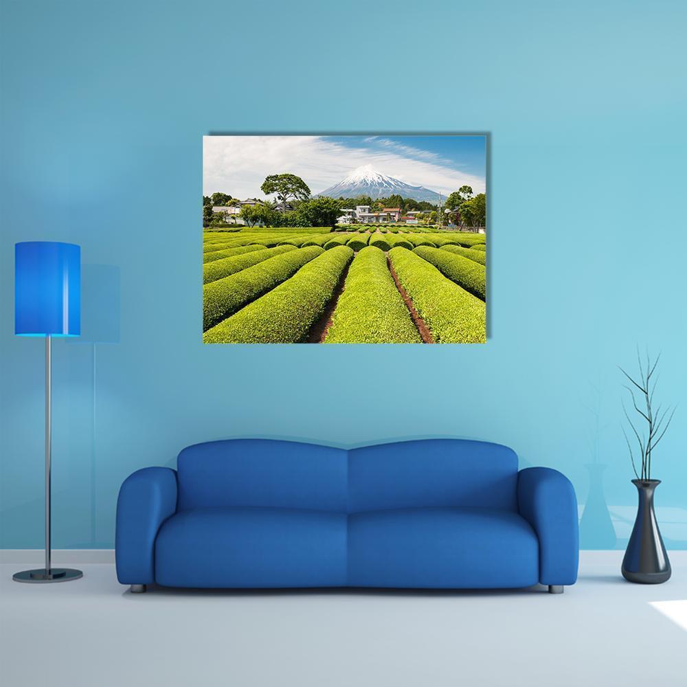 Spring Tea Field with Snow-capped Mount Fuji Canvas Wall Art in white, green and blue, single panel hung on a wall