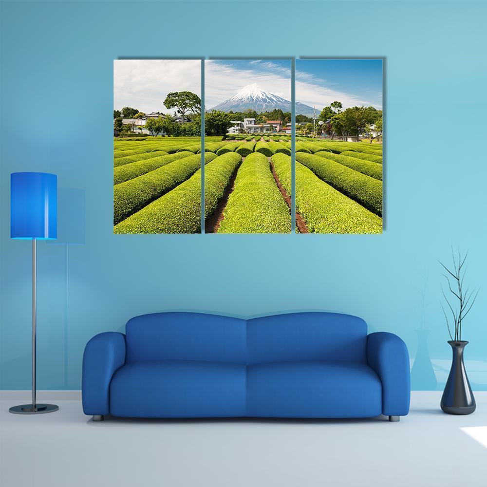 Fresh Green Tea Field in A Spring Morning Canvas Wall Art-3 Horizontal-Gallery Wrap-37" x 24"-Tiaracle