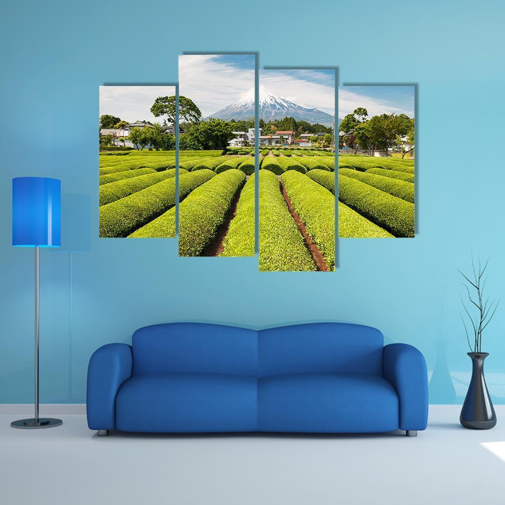 Fresh Green Tea Field in A Spring Morning Canvas Wall Art-4 Pop-Gallery Wrap-50" x 32"-Tiaracle
