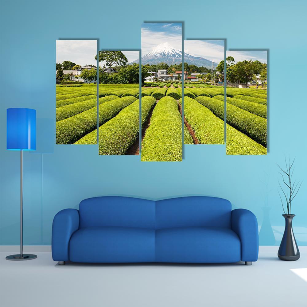Fresh Green Tea Field in A Spring Morning Canvas Wall Art-5 Pop-Gallery Wrap-47" x 32"-Tiaracle