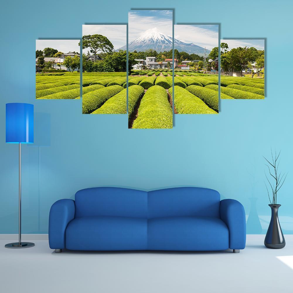 Fresh Green Tea Field in A Spring Morning Canvas Wall Art-5 Star-Gallery Wrap-62" x 32"-Tiaracle