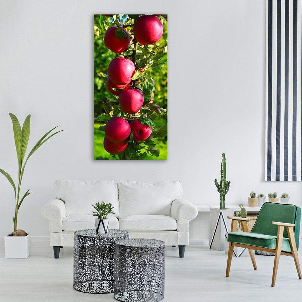 Apple Fruit Tree Vertical Canvas Wall Art-3 Vertical-Gallery Wrap-12" x 25"-Tiaracle