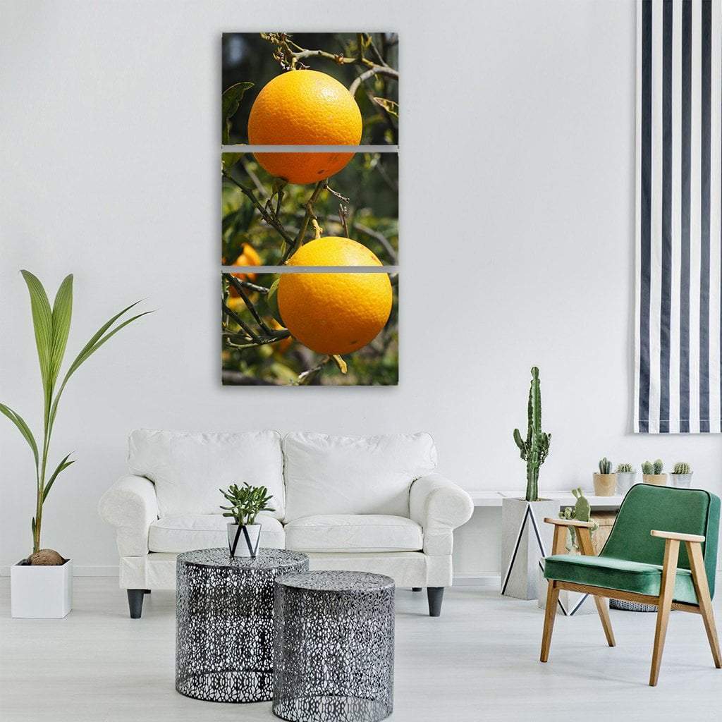 Fresh Orange Tree Vertical Canvas Wall Art-3 Vertical-Gallery Wrap-12" x 25"-Tiaracle