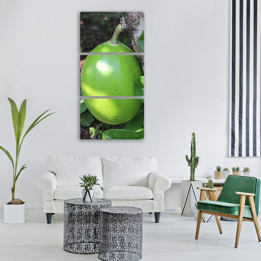 Fruit Calabash Tree Vertical Canvas Wall Art-3 Vertical-Gallery Wrap-12" x 25"-Tiaracle