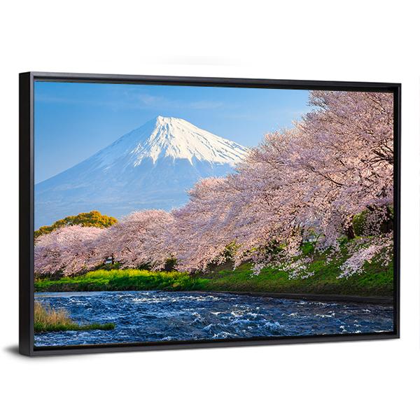 Fuji &amp; Sakura At River Canvas Wall Art-3 Horizontal-Gallery Wrap-25" x 16"-Tiaracle