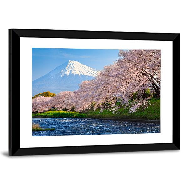 Fuji &amp; Sakura At River Canvas Wall Art-3 Horizontal-Gallery Wrap-25" x 16"-Tiaracle