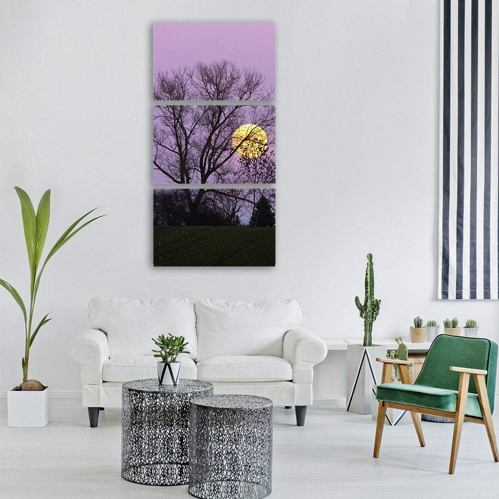 Full Moon Rise In Evening Vertical Canvas Wall Art-3 Vertical-Gallery Wrap-12" x 25"-Tiaracle