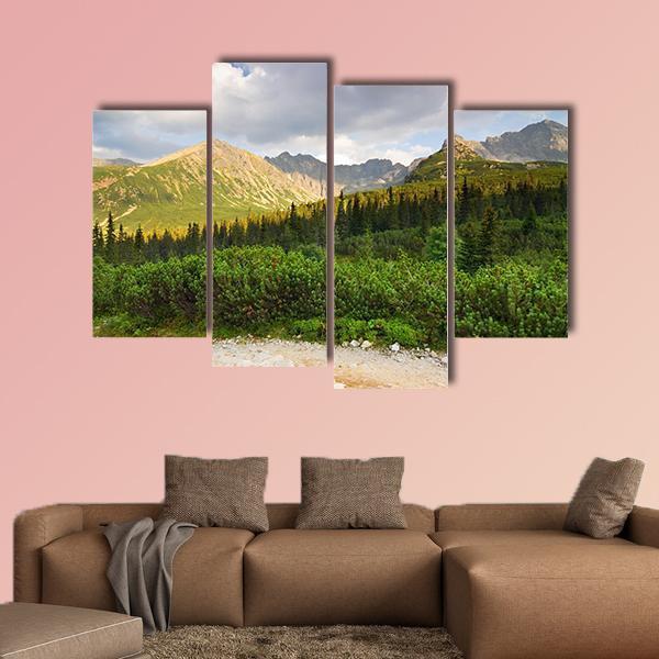 Gasienicowa Valley Canvas Wall Art-4 Pop-Gallery Wrap-50" x 32"-Tiaracle