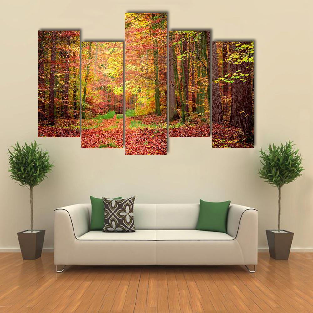 Gold &amp; Green Path In Forest Canvas Wall Art-5 Pop-Gallery Wrap-47" x 32"-Tiaracle