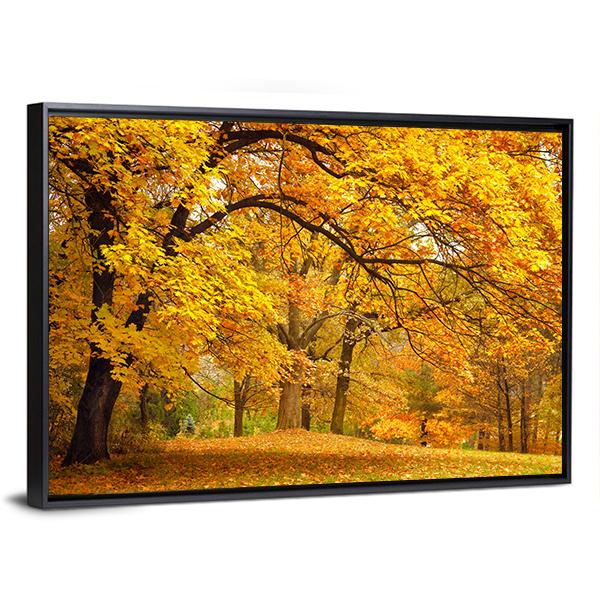 Gold Trees In Park Canvas Wall Art-3 Horizontal-Gallery Wrap-25" x 16"-Tiaracle