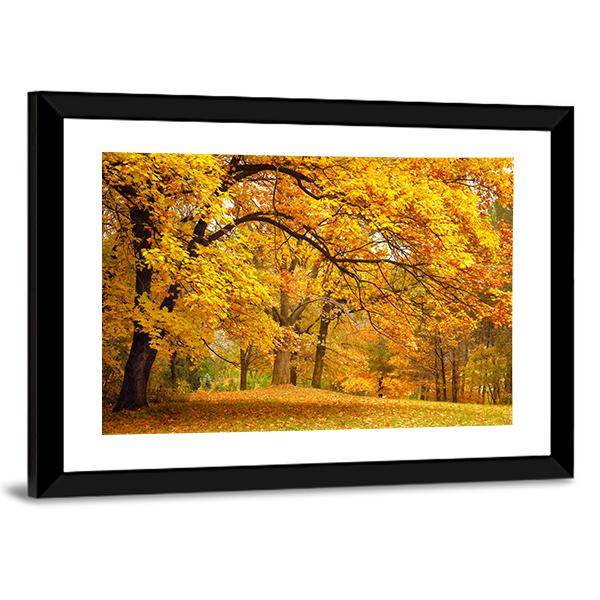 Gold Trees In Park Canvas Wall Art-3 Horizontal-Gallery Wrap-25" x 16"-Tiaracle