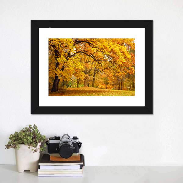 Gold Trees In Park Canvas Wall Art-1 Piece-Framed Print-20" x 16"-Tiaracle