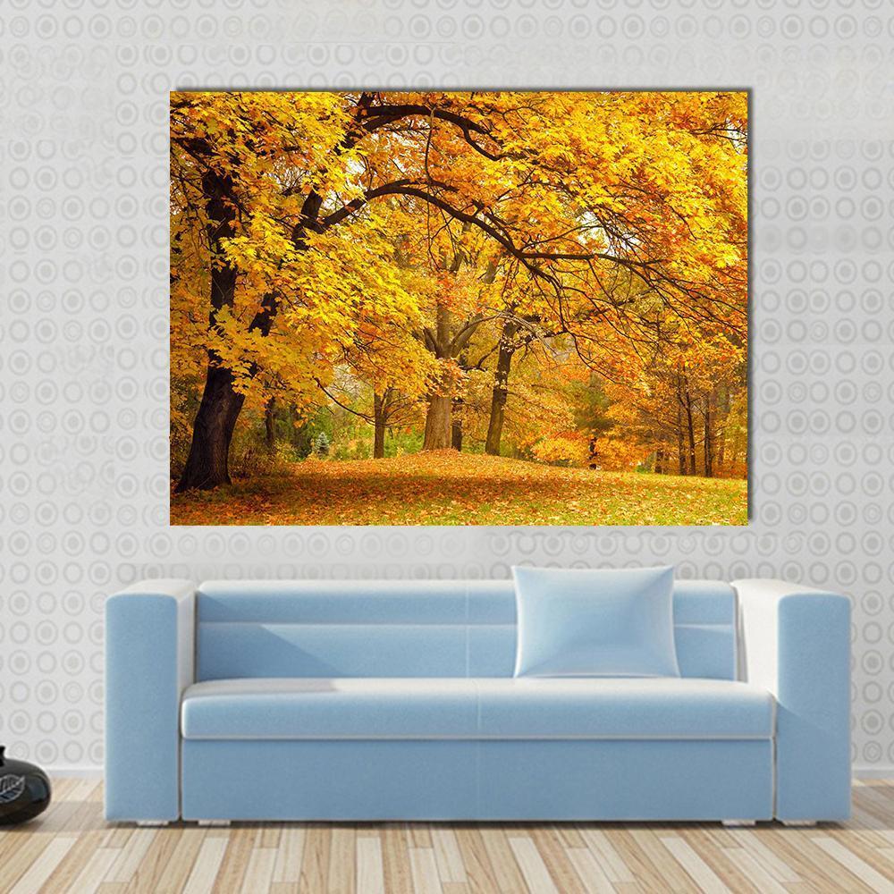 Golden Trees in Autumn Park Canvas Wall Art in brown, orange and yellow, single panel hung on a wall