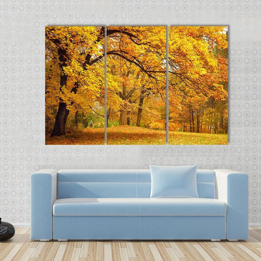 Gold Trees In Park Canvas Wall Art-3 Horizontal-Gallery Wrap-37" x 24"-Tiaracle