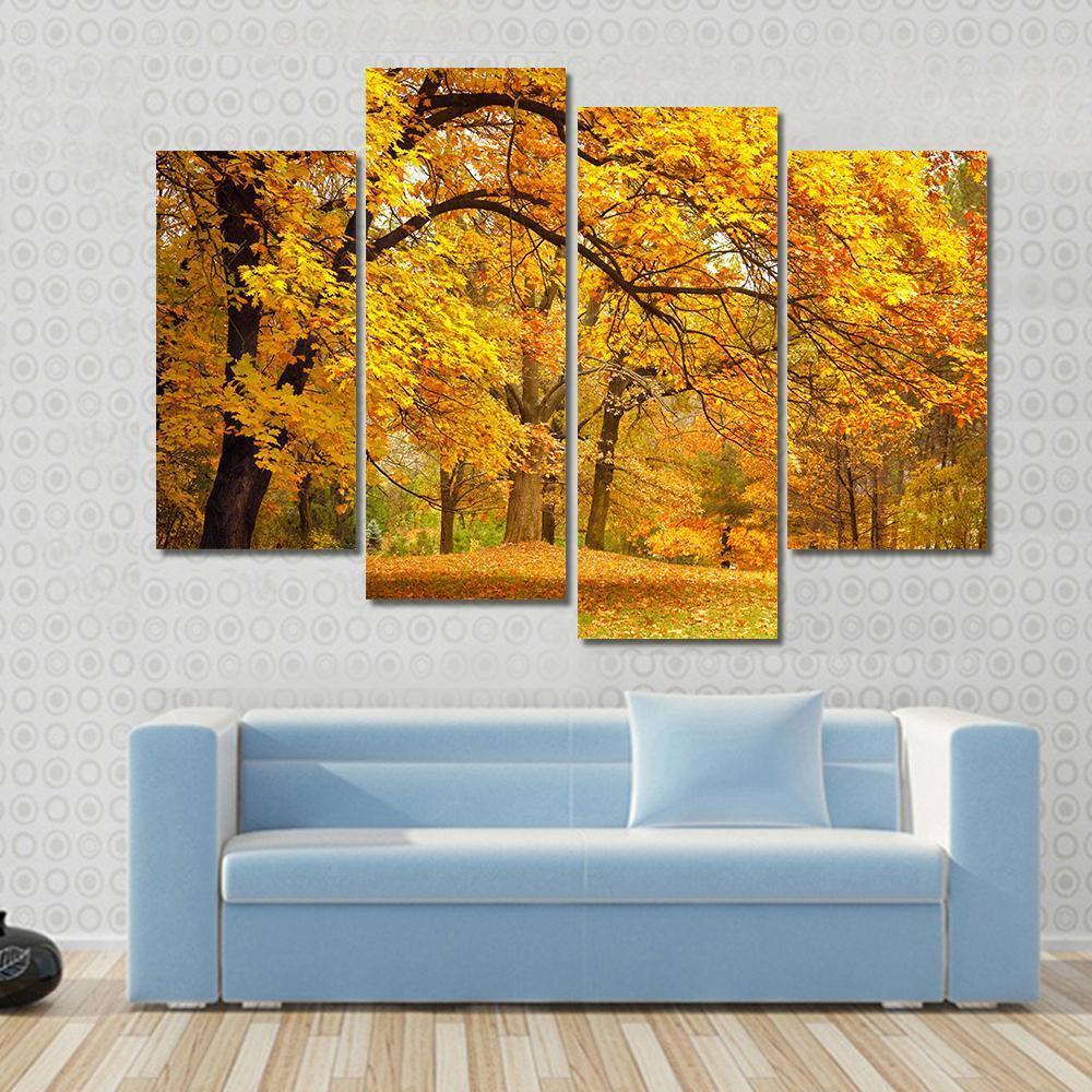 Gold Trees In Park Canvas Wall Art-4 Pop-Gallery Wrap-50" x 32"-Tiaracle