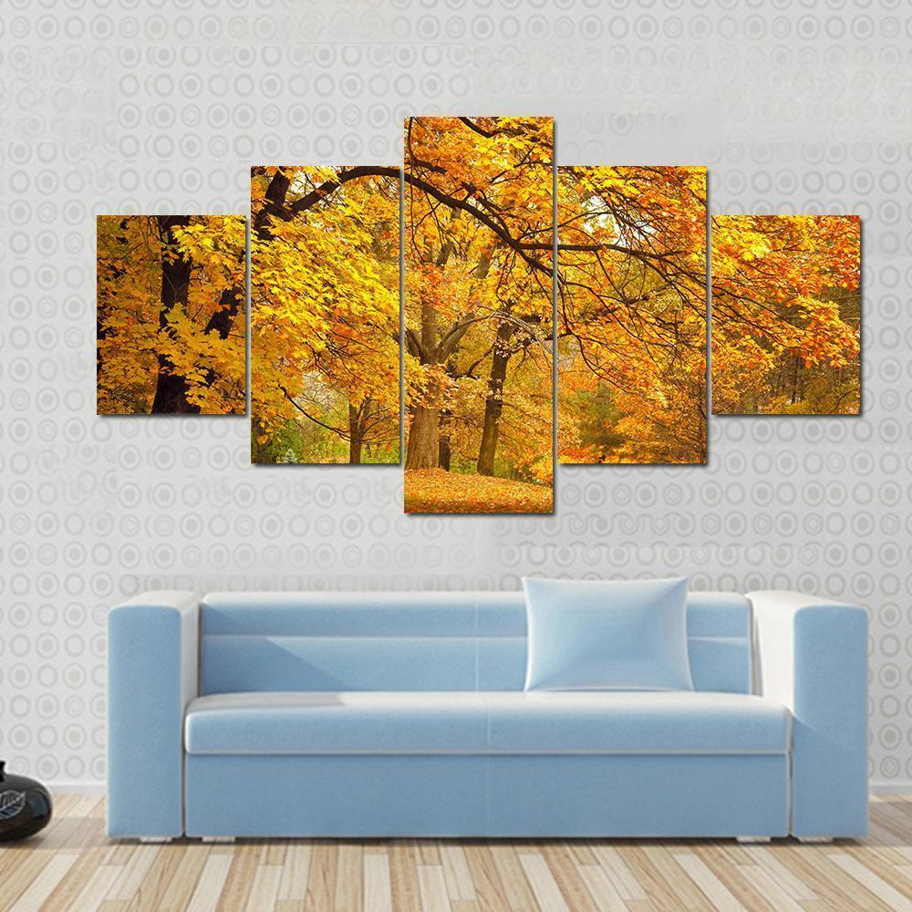 Gold Trees In Park Canvas Wall Art-5 Star-Gallery Wrap-62" x 32"-Tiaracle