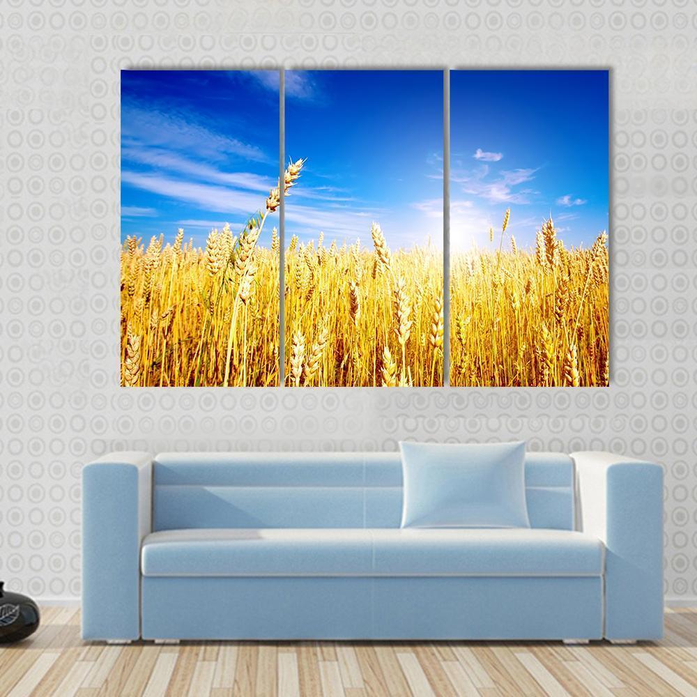 Golden Wheat Field Canvas Wall Art-4 Pop-Gallery Wrap-50" x 32"-Tiaracle